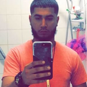 Meet your Posher, Hector